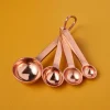 Acadia Measuring Spoons, Copper
