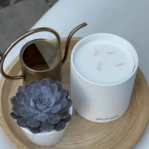 Apotheke Concrete 4-Wick Candle, White Vetiver^Be Home Online