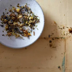 Bellocq Tea, Nocturne