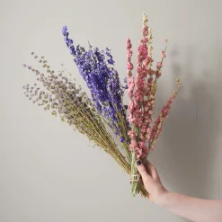 Bunch of Blue Larkspur^Be Home Cheap