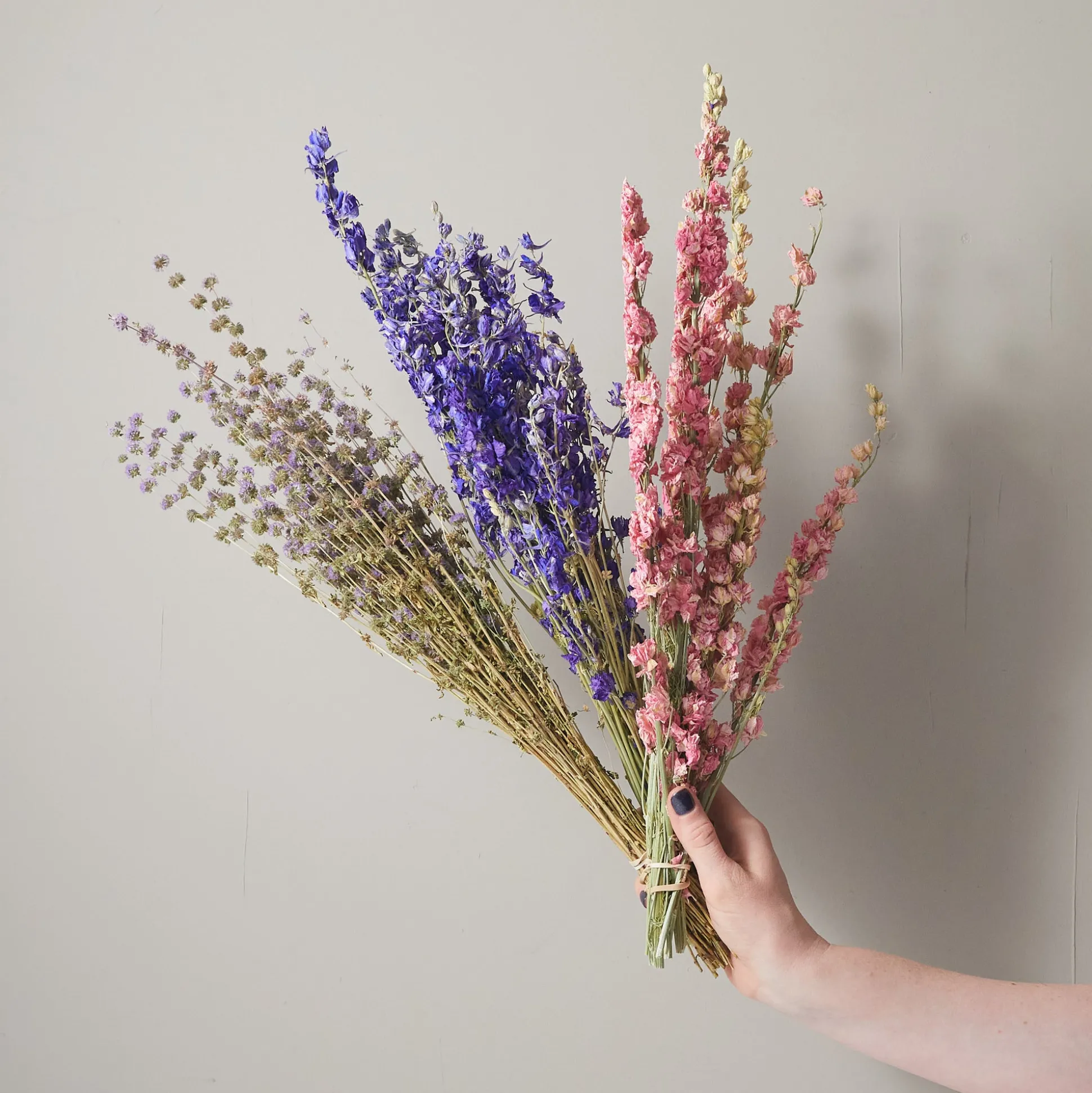 Bunch of Blue Larkspur^Be Home Cheap