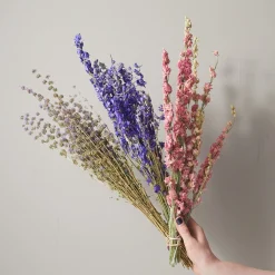 Bunch of Pink Larkspur^Be Home Store