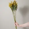 Bunch of Solidago^Be Home Best Sale