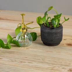 Carlise Plant Mister, Gold^Be Home Fashion