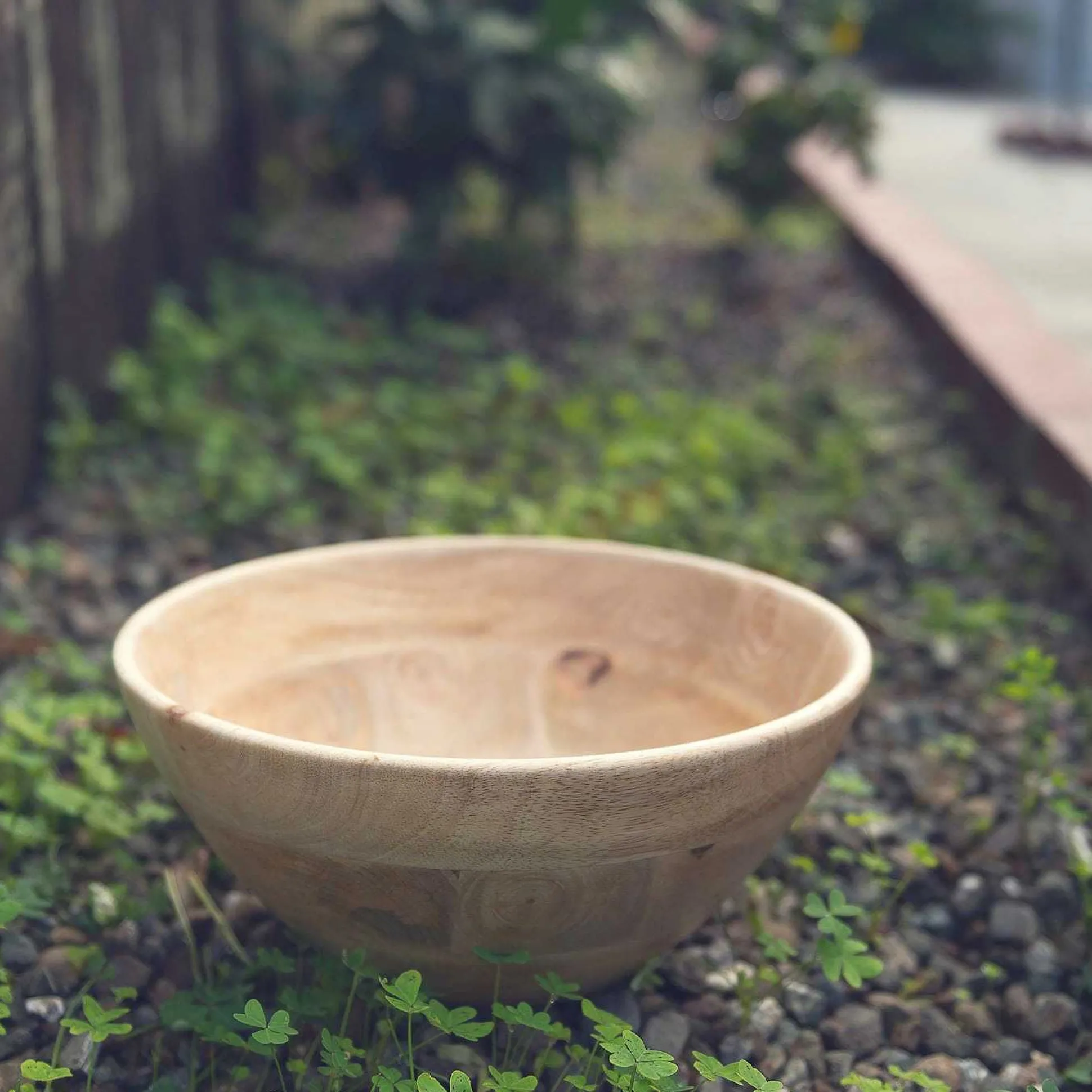 Corissa Bowl, Large