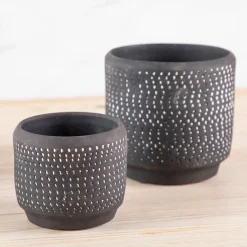Delrado Pot^Be Home Cheap
