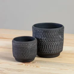 Delrado Pot^Be Home Cheap