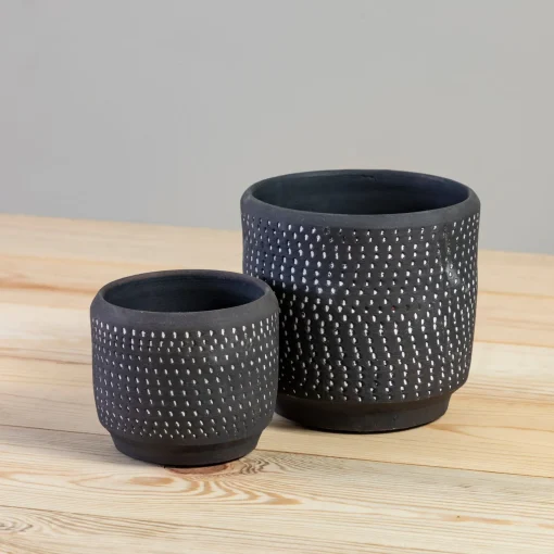 Delrado Pot^Be Home Cheap