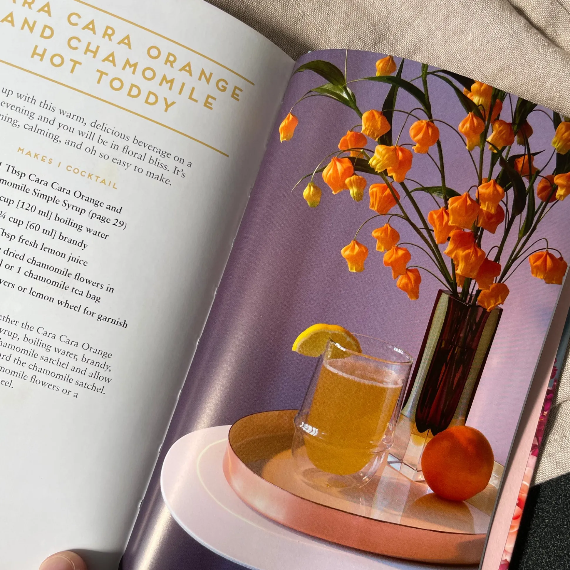 Floral Libations, 41 Fragrant Drinks & Ingredients by Cassie Winslow^Be Home Clearance