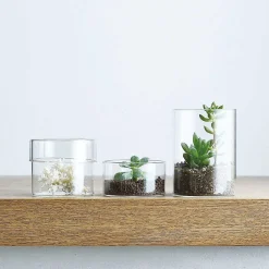 Glass Canister, Medium
