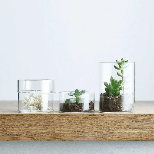Glass Canister, Medium