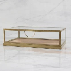 Glass Display Case with Wood Base Medium^Be Home Best Sale