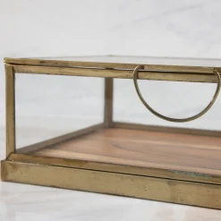 Glass Display Case with Wood Base Small^Be Home Hot