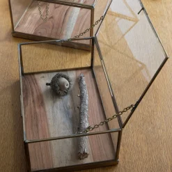 Glass Display Case with Wood Base Small^Be Home Hot