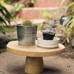 Kiln Mango Wood Cake Stand