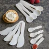 Large Shell Spoons, Set of 4