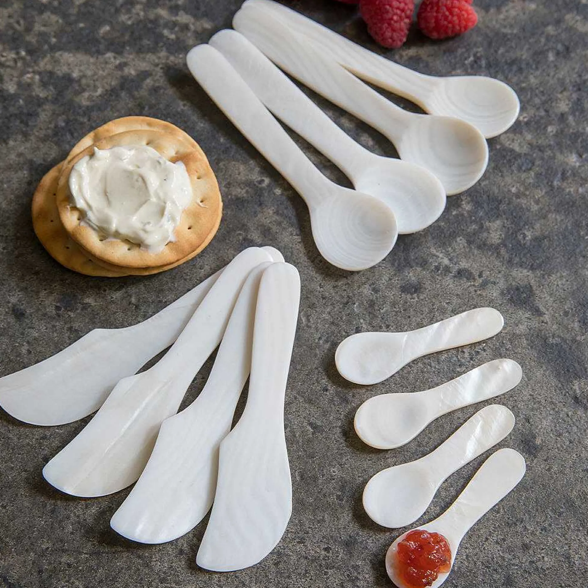 Large Shell Spoons, Set of 4
