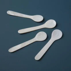 Large Shell Spoons, Set of 4