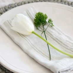 Mendocino Napkins, Light Grey, Set of 4^Be Home Sale