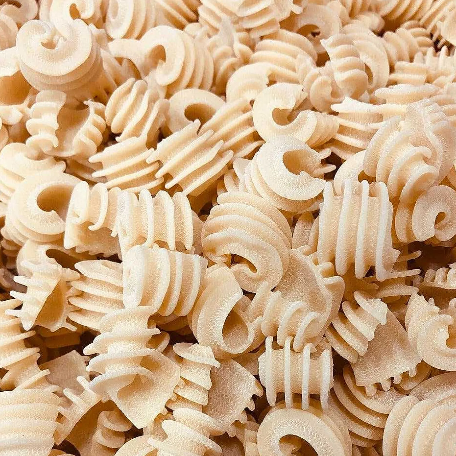 Mill Valley Pasta Co. Radiatore Pasta, Plain