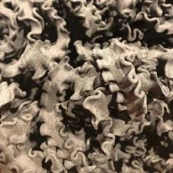 Mill Valley Pasta Co. Scarabocchio Pasta, Squid Ink