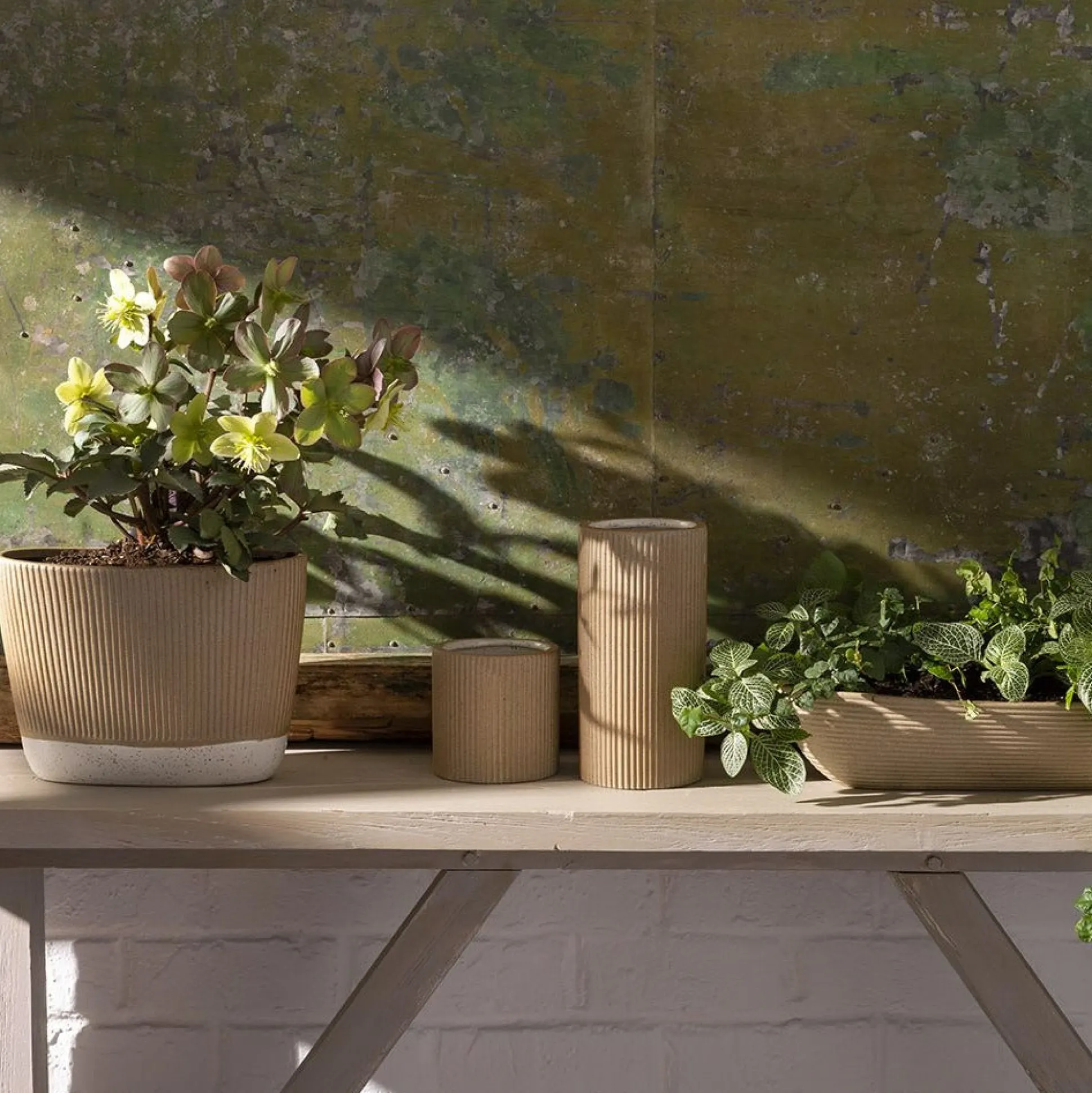 Morrigan Vase^Be Home Hot