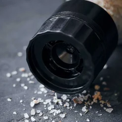 Nicolas Vahé Salt, The Secret Blend