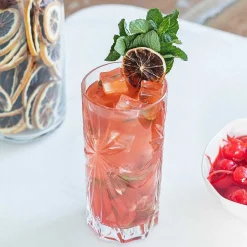 Oasis Hi-Ball Glass, Set of 4
