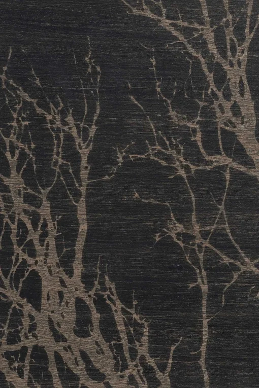 Oblong Black Tree Tray, Medium