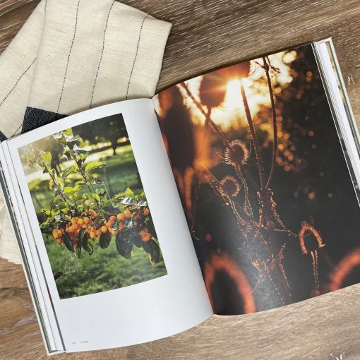 Orchard: Over 70 Sweet and Savoury Recipes from the English Countrysid^Be Home Outlet