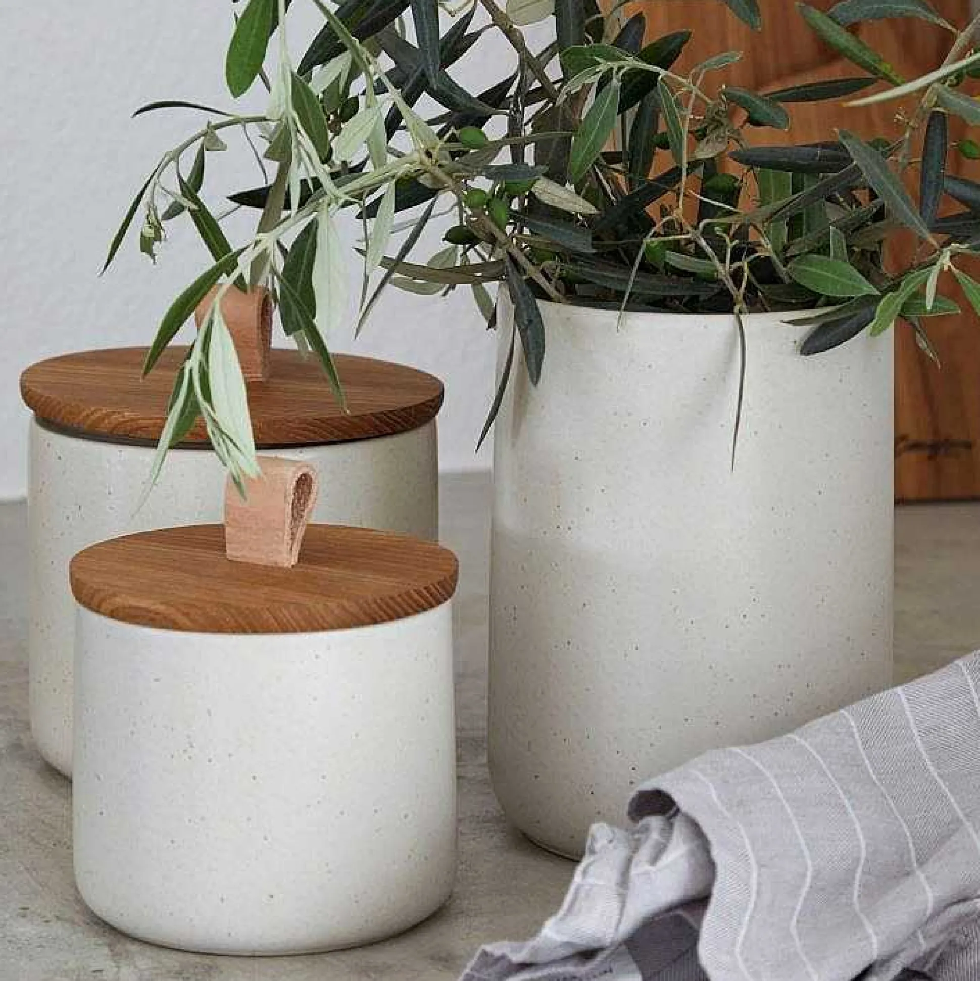 Pacifica Canister with Oak Wood Lid, Vanilla, Small