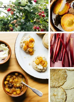 Pulp: A Practical Guide to Cooking with Fruit by Abra Berens^Be Home Fashion