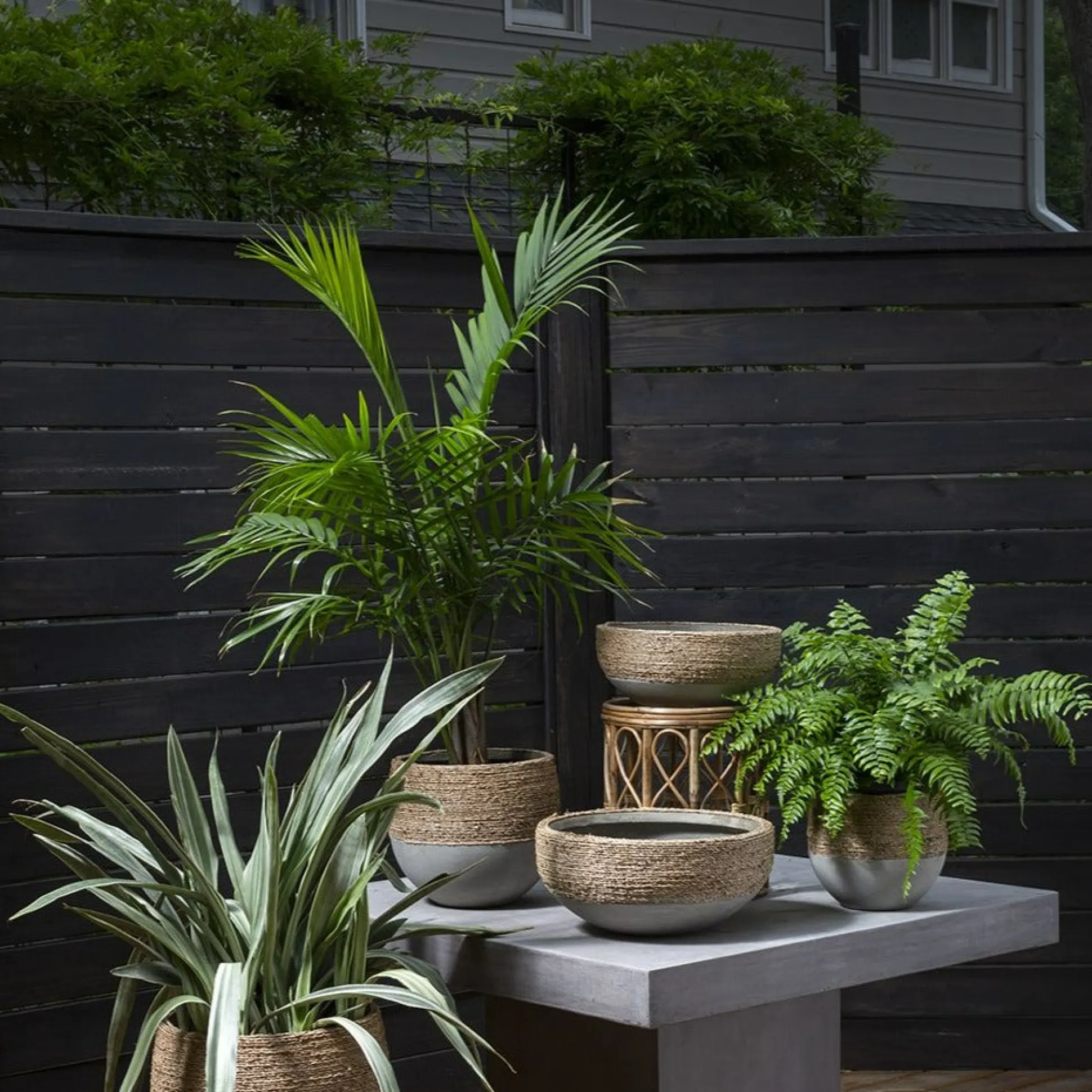 Reed Bowl^Be Home New