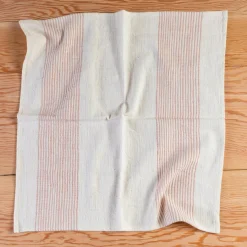 Riviera Napkins, Blush, Set of 4^Be Home Shop