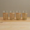 Seagrass Highball, Set of 6^Be Home Shop