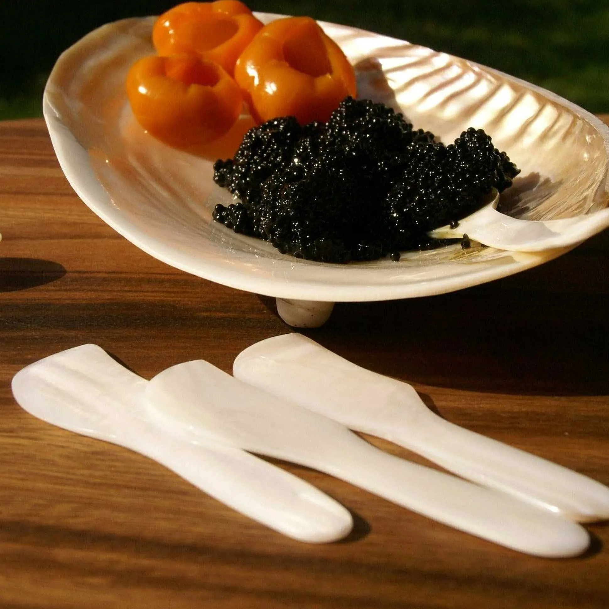 Shell Spreaders, Set of 4