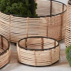 Simla Cane Berry Basket