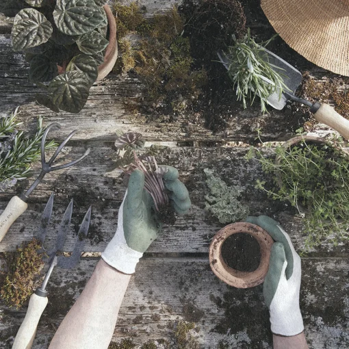 3-Tine Cultivator^Be Home Online