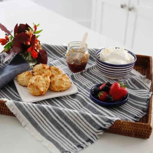 Yountville Napkins, Navy, Set of 4^Be Home New