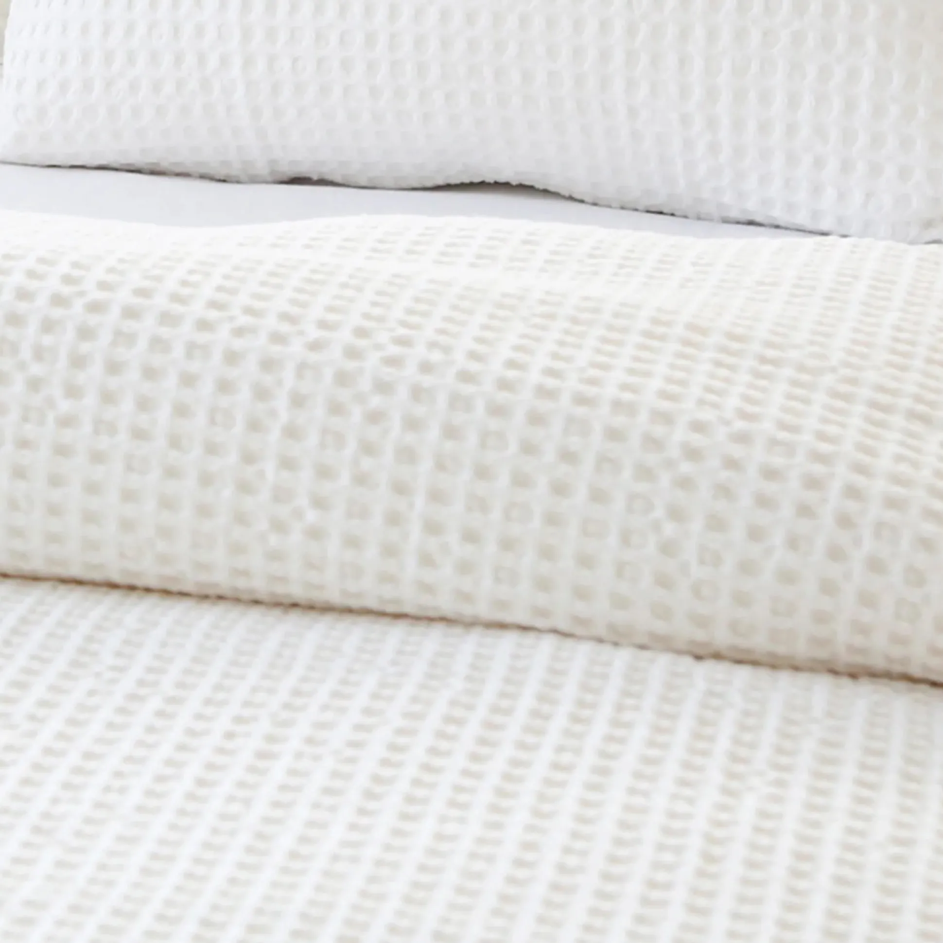 Zuma King Sham, Cream^Be Home Cheap